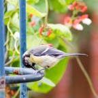 Ooh it looks a little different!