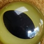 More sunshine.. such luxury on a bank holiday