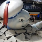 Something strange in the neighbourhood. 