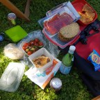 The frogs had a day out in Kent