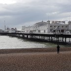 The Frogs went to see the sea.