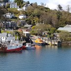 The frogs went to see, without the owl or the pussycat.