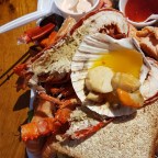 Did someone say fish?