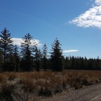 Funnily enough it was quite windy at the wind farm