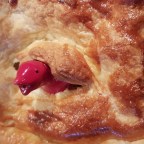 One wandering frog has a birthday today