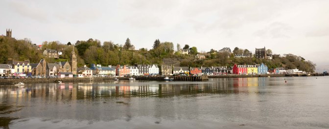 wanderingfrogs (103 of 132)