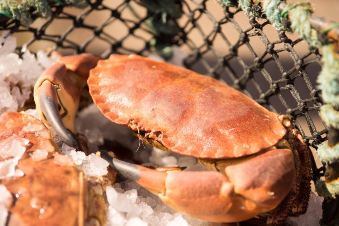 wanderingfrogs (129 of 132)