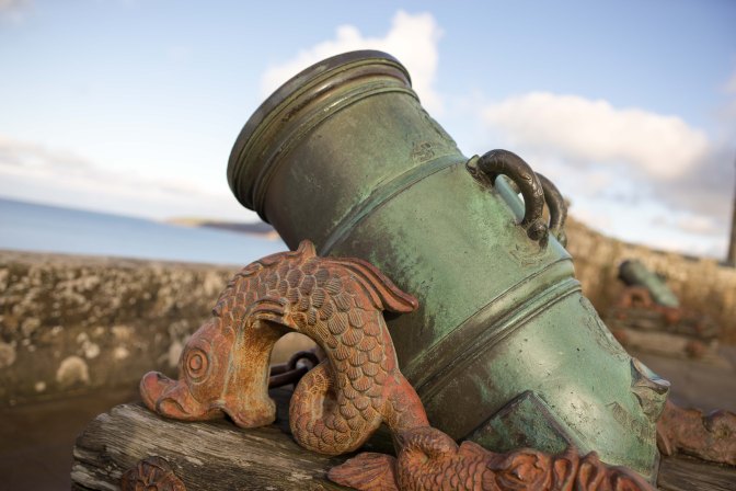 wanderingfrogs (15 of 132)