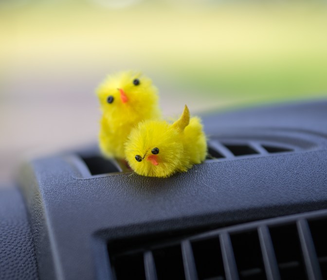 wanderingfrogs (60 of 132)