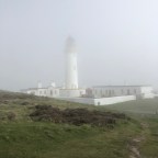 The Frogs wandered in a cloud.