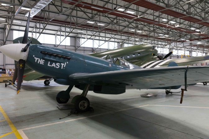 wanderingfrogs (1 of 8)