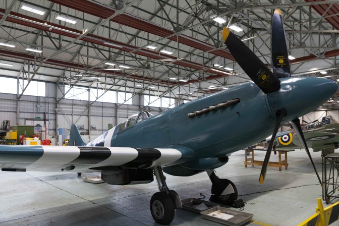 wanderingfrogs (4 of 8)