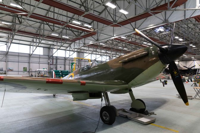 wanderingfrogs (5 of 8)