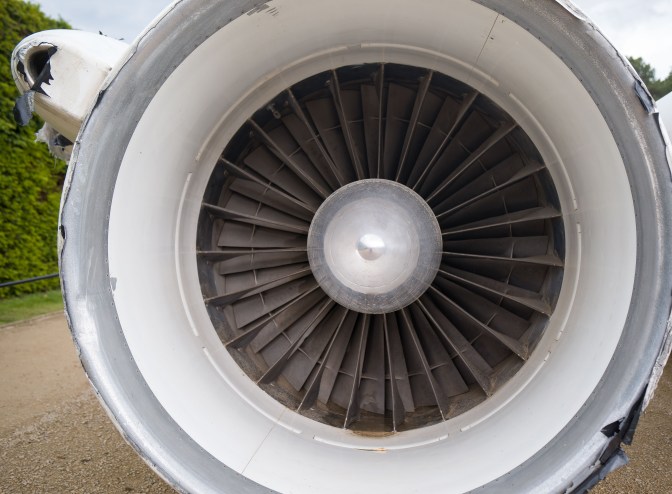 wanderingfrogs (1 of 14)