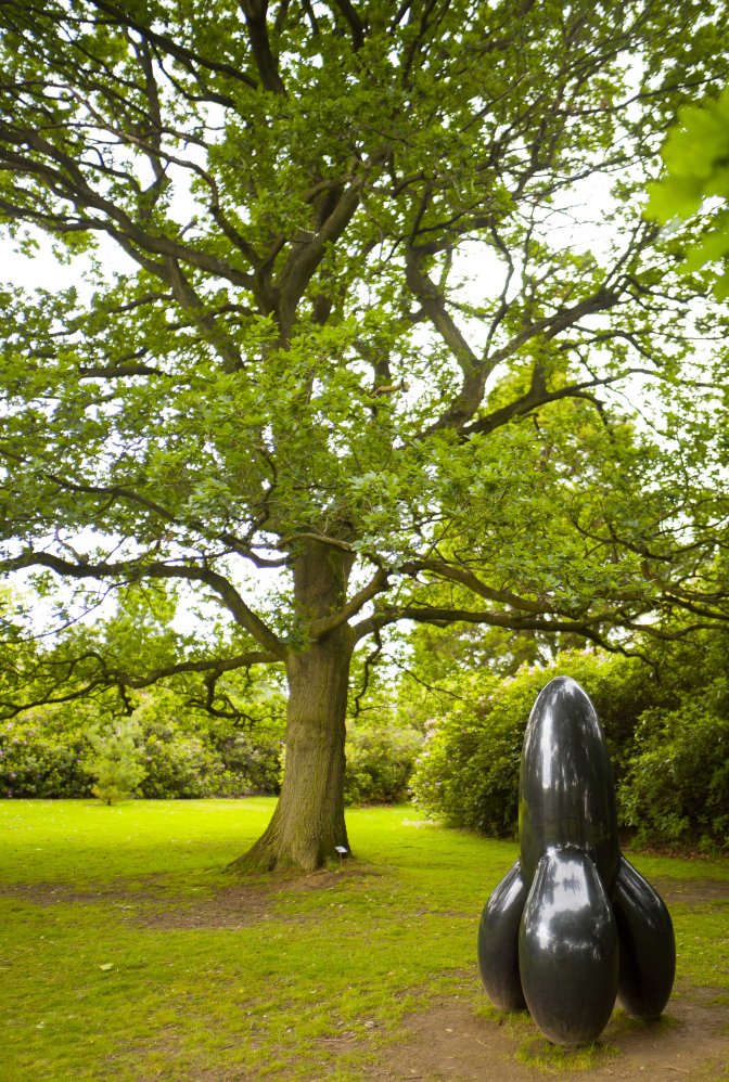 wanderingfrogs (10 of 14)