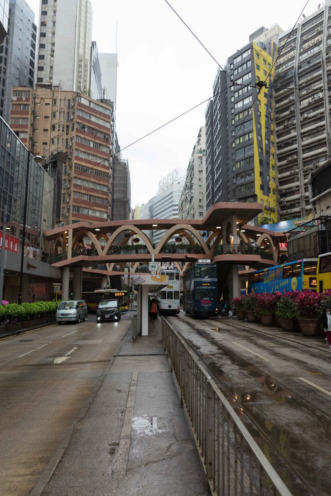 wanderingfrogs (101 of 25)