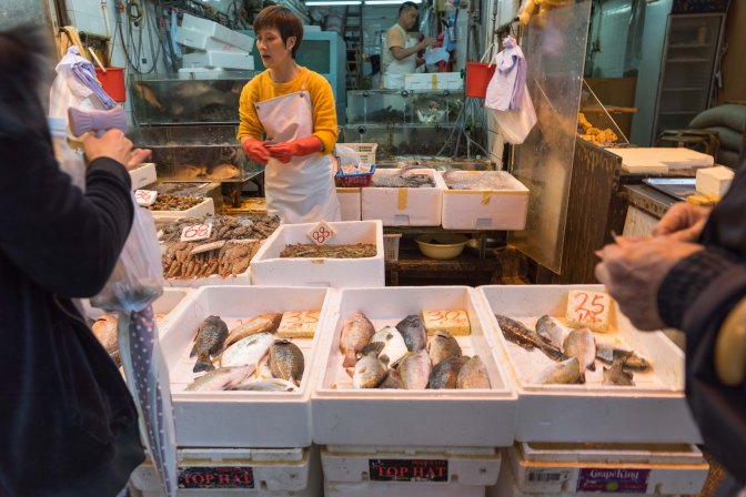 wanderingfrogs (106 of 25)