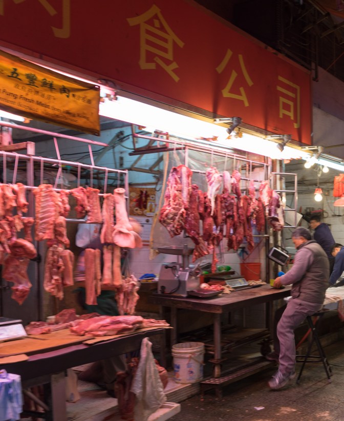 wanderingfrogs (110 of 25)