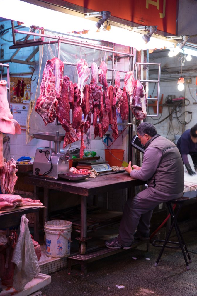 wanderingfrogs (111 of 25)