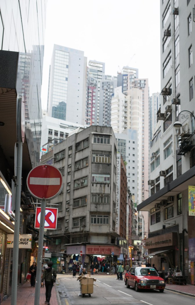 wanderingfrogs (114 of 25)