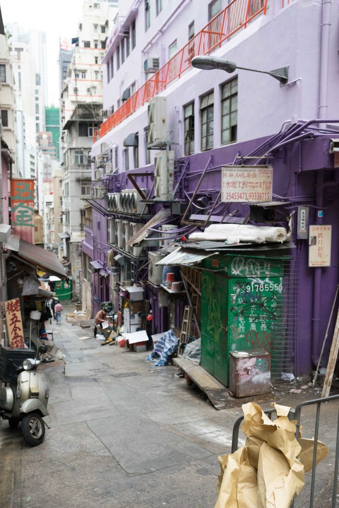 wanderingfrogs (125 of 25)