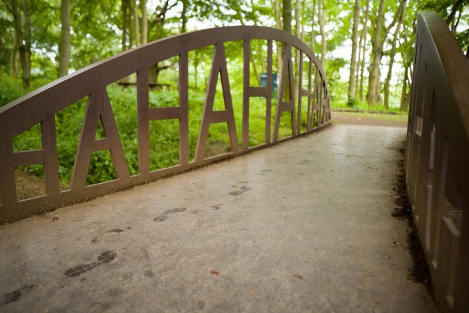 wanderingfrogs (13 of 14)