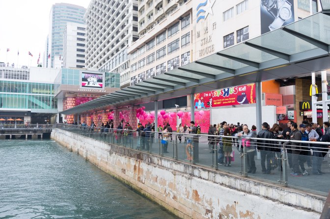 wanderingfrogs (13 of 30)