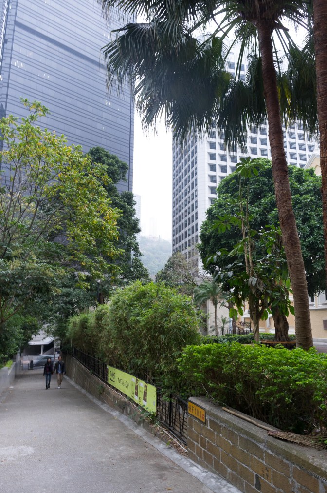 wanderingfrogs (18 of 30)