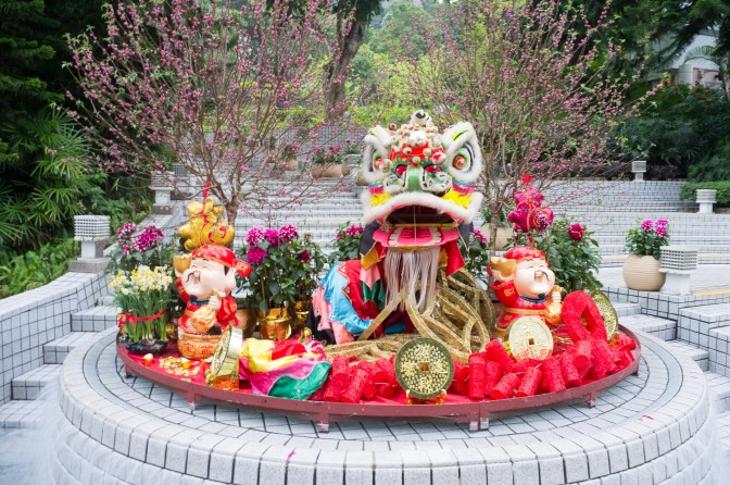 wanderingfrogs (19 of 30)