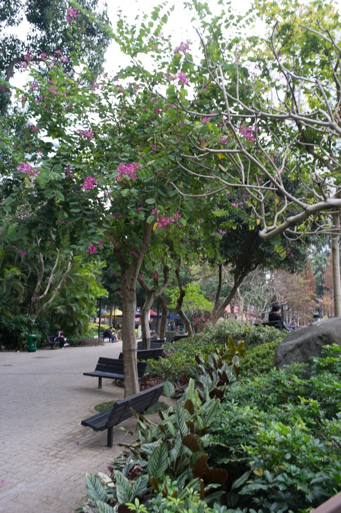 wanderingfrogs (20 of 30)