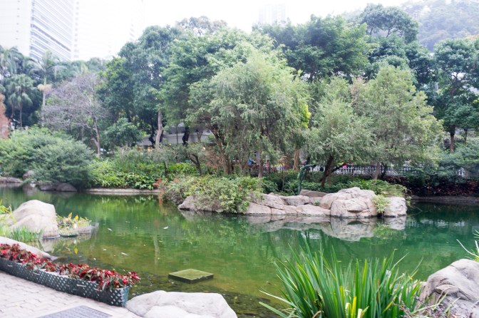 wanderingfrogs (21 of 30)