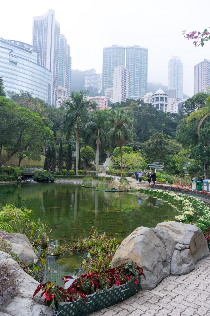 wanderingfrogs (22 of 30)