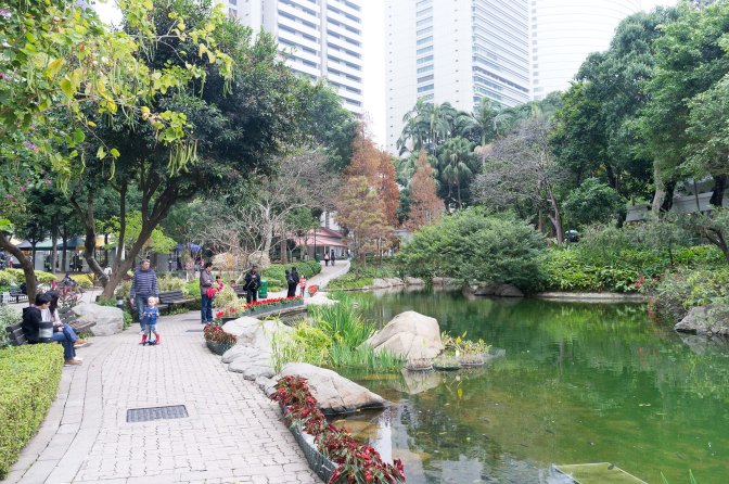 wanderingfrogs (23 of 30)