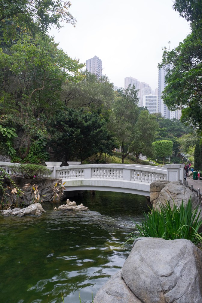 wanderingfrogs (25 of 30)