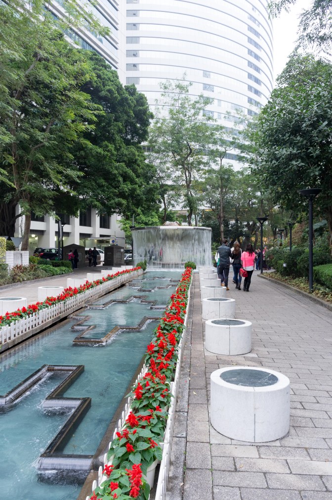 wanderingfrogs (28 of 30)