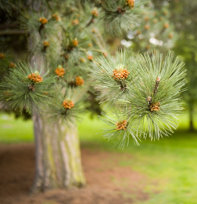 wanderingfrogs (8 of 14)