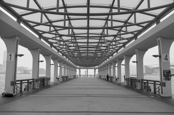 wanderingfrogs (8 of 30)