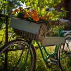 Suomenlinna, not to be confused with semolina!