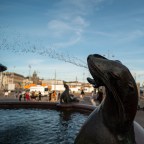 The Frogs Hopped back to Helsinki