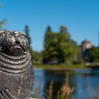 Savonlinna not Savlon